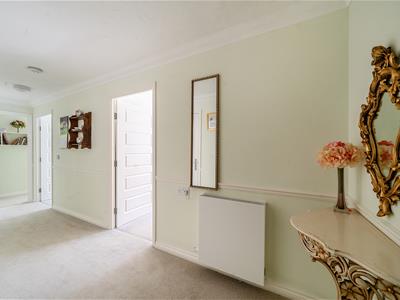 Picture 8